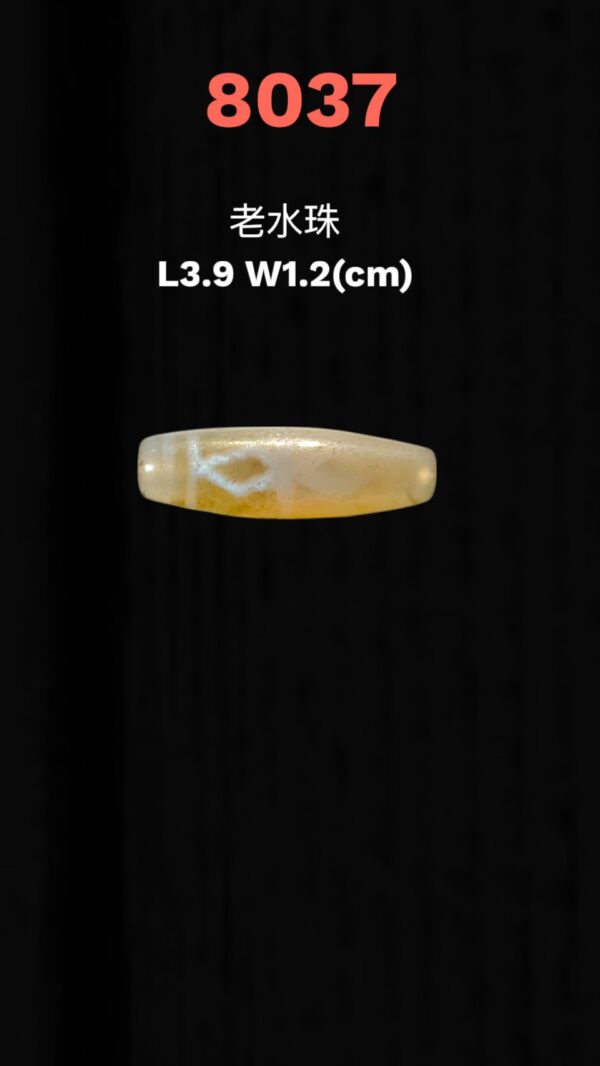 S__3260651