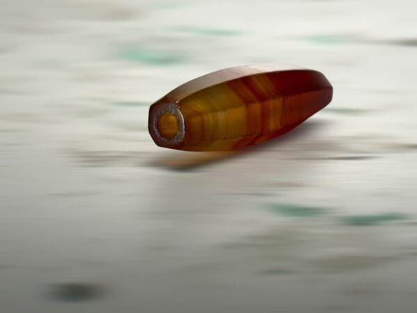 S__3260658_0