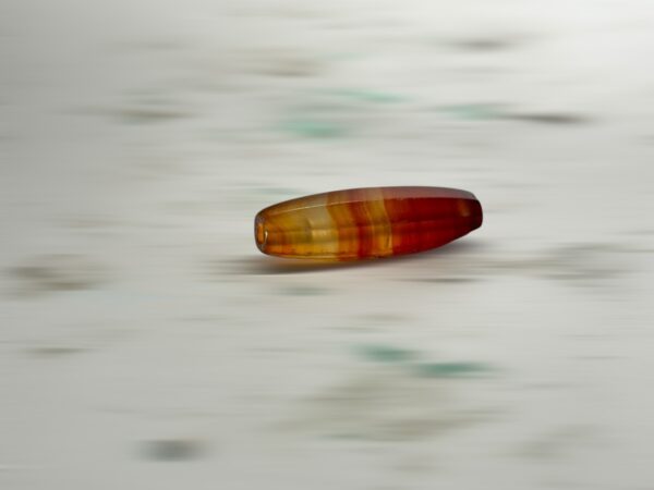 S__3260662_0