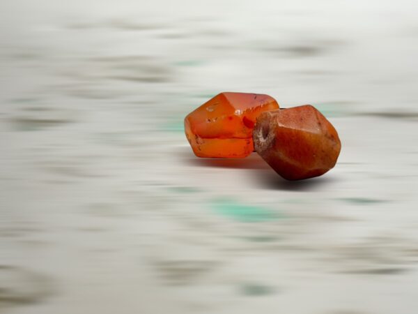 S__3260669_0