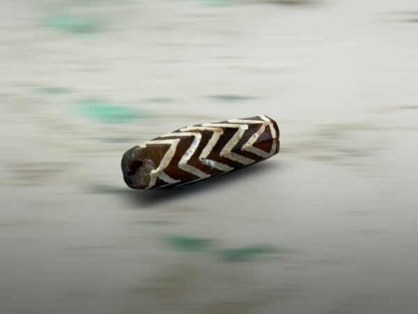 S__3260681_0