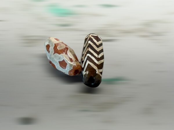 S__3260683_0