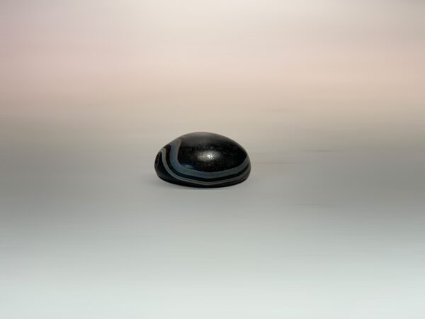 S__3424311_0