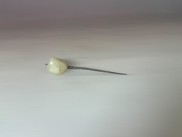 007602AB-6434-413B-BDFB-C641F03AD34F