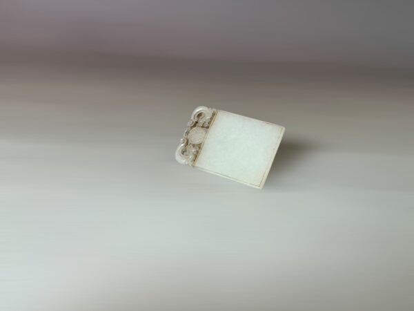 454DE3F6-CD98-4511-B94A-2724BF92AB40