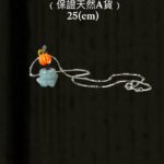 66EF42E5-B6BE-4E2C-B520-71197C603E2D
