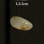 44283D99-4A61-4F97-BCD7-B5BB13D20F8F