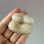 LINE_ALBUM_1月拍賣_260116_50