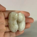 LINE_ALBUM_1月拍賣_260116_52