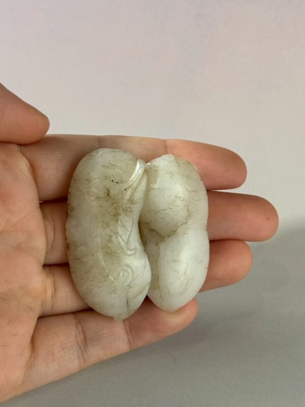 LINE_ALBUM_1月拍賣_260116_52