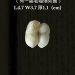 LINE_ALBUM_1月拍賣_260116_53