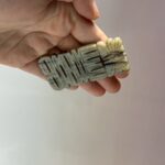 LINE_ALBUM_2026116_260116_101