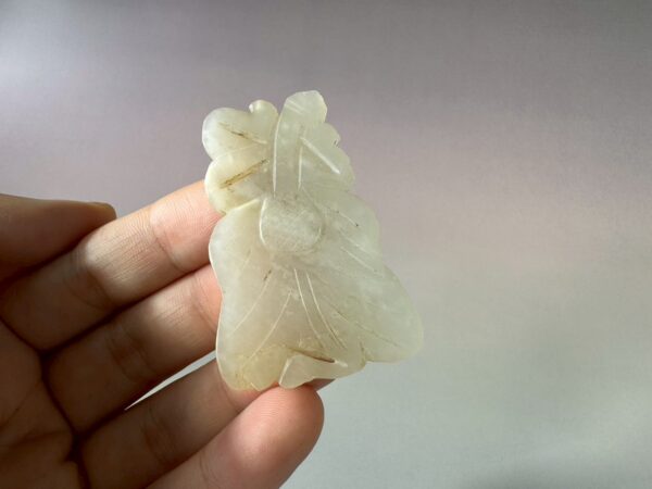 LINE_ALBUM_2026116_260116_115