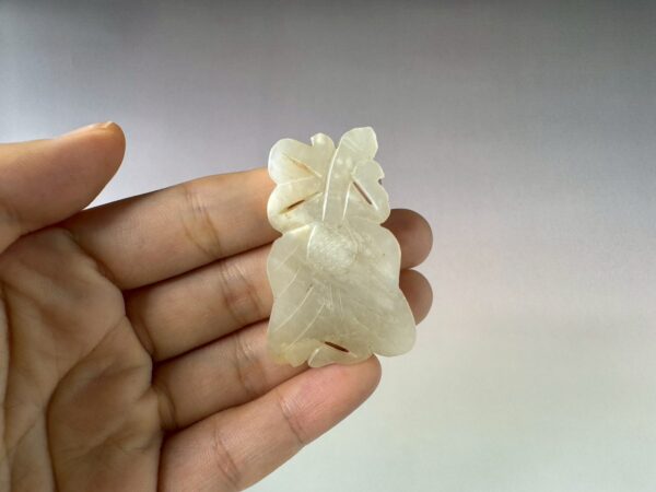 LINE_ALBUM_2026116_260116_116