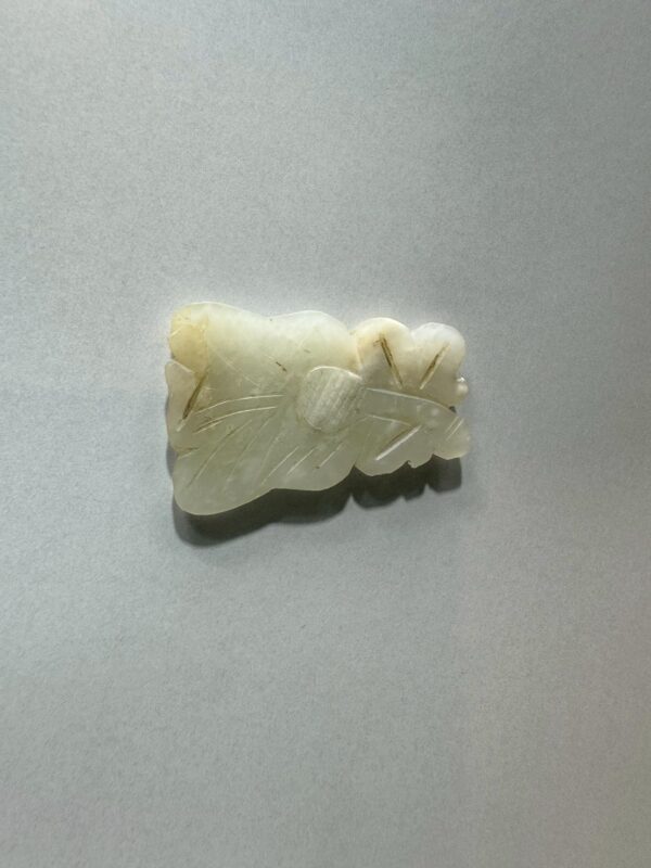 LINE_ALBUM_2026116_260116_117