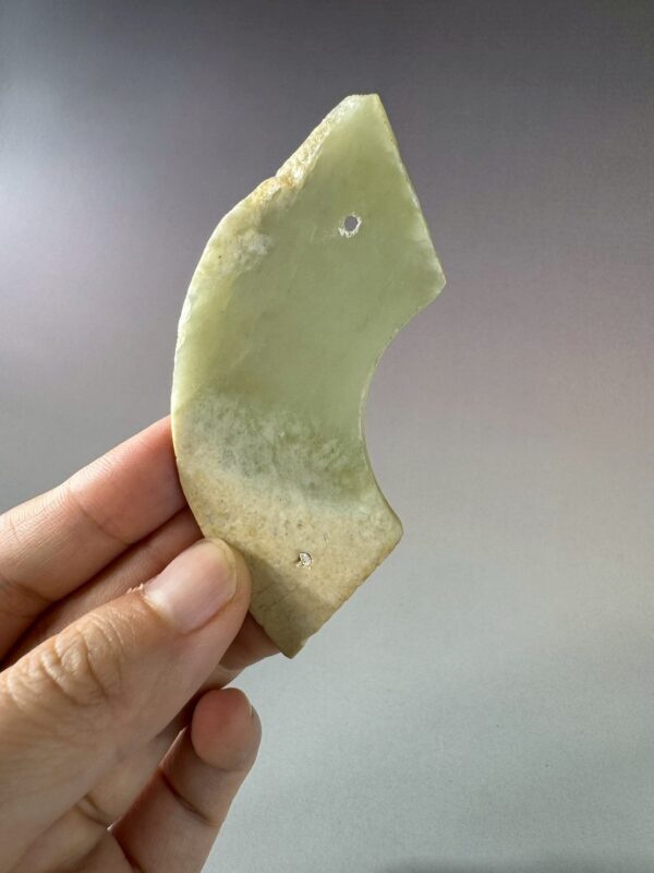 LINE_ALBUM_2026116_260116_125