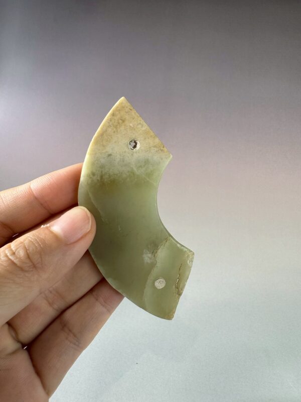 LINE_ALBUM_2026116_260116_127