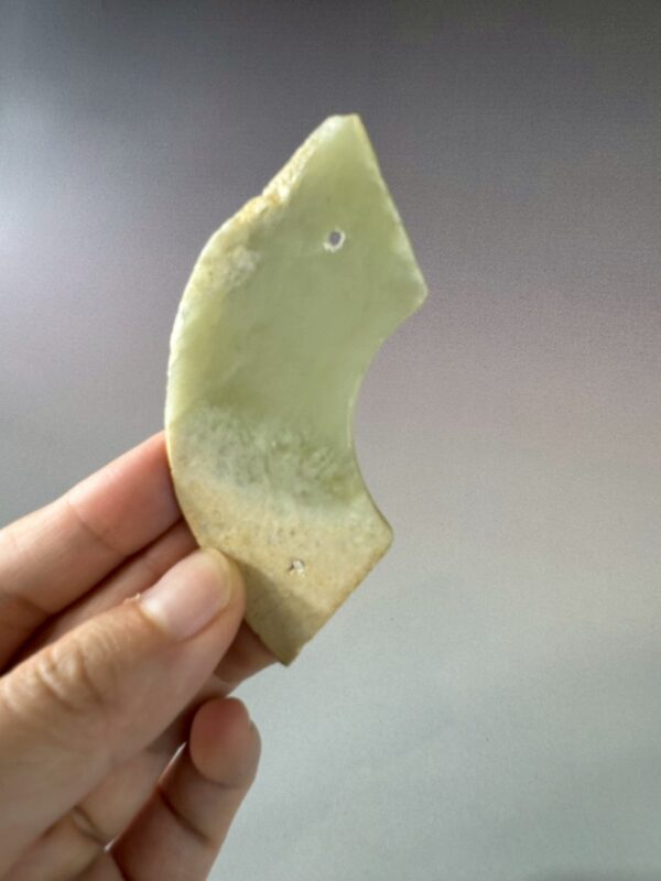 LINE_ALBUM_2026116_260116_128