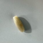 LINE_ALBUM_2026116_260116_132