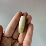 LINE_ALBUM_2026116_260116_133