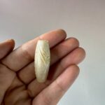 LINE_ALBUM_2026116_260116_134