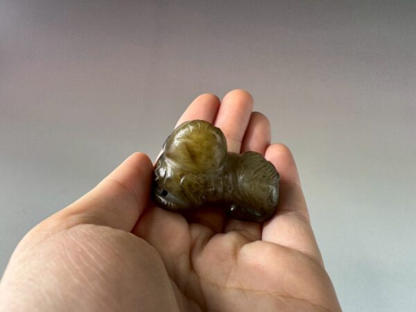 LINE_ALBUM_2026116_260116_144