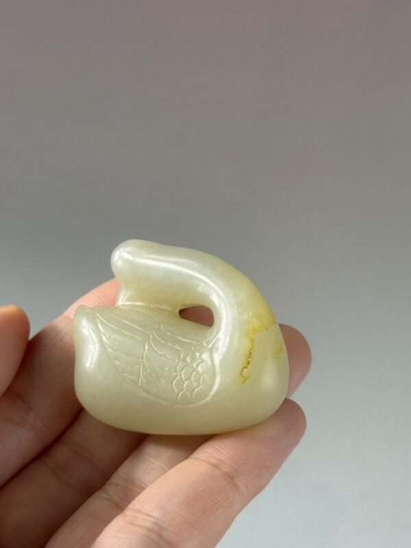 LINE_ALBUM_2026116_260116_164