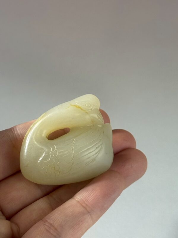 LINE_ALBUM_2026116_260116_165