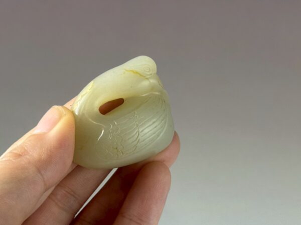 LINE_ALBUM_2026116_260116_166