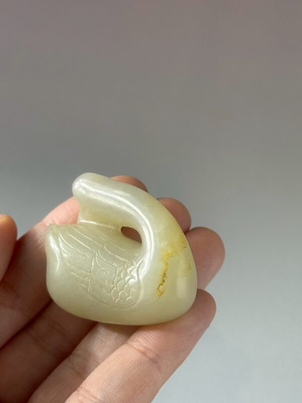 LINE_ALBUM_2026116_260116_167