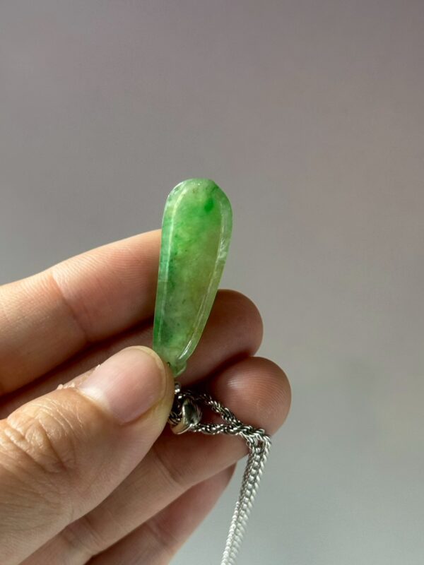 LINE_ALBUM_2026116_260116_175