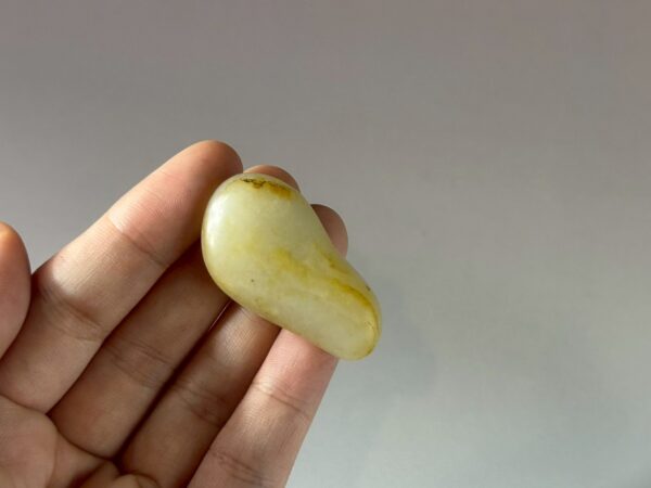 LINE_ALBUM_2026116_260116_182