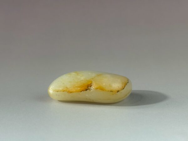 LINE_ALBUM_2026116_260116_184