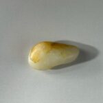 LINE_ALBUM_2026116_260116_185