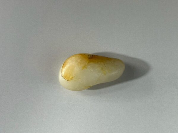 LINE_ALBUM_2026116_260116_185