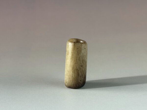 LINE_ALBUM_2026116_260116_188