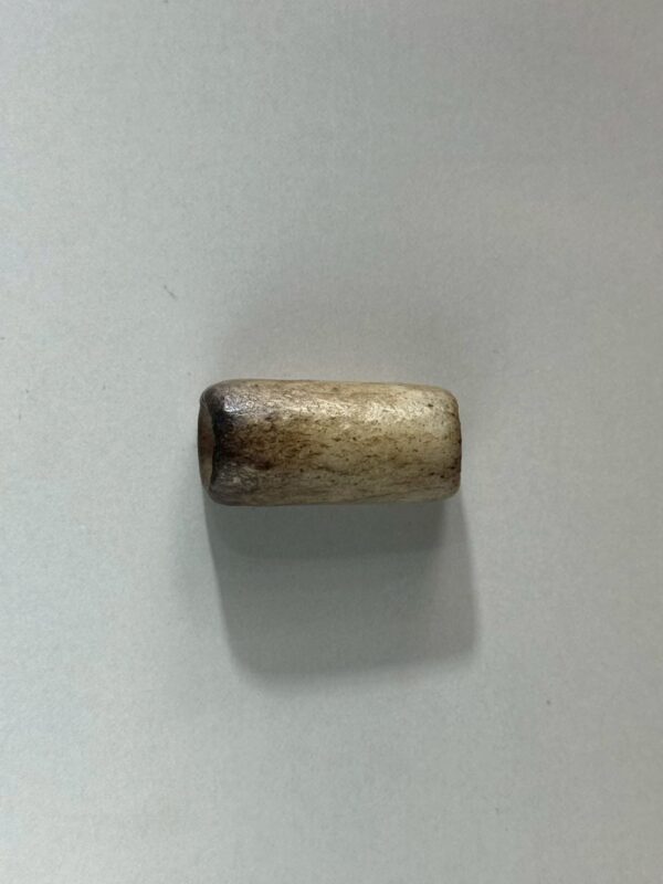 LINE_ALBUM_2026116_260116_189