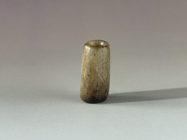 LINE_ALBUM_2026116_260116_193