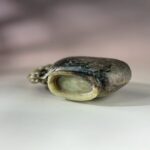 LINE_ALBUM_2026116_260116_48