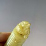 LINE_ALBUM_2026116_260116_61