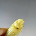 LINE_ALBUM_2026116_260116_62