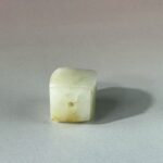 LINE_ALBUM_2026116_260116_88