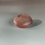 LINE_ALBUM_2026117_260117_102