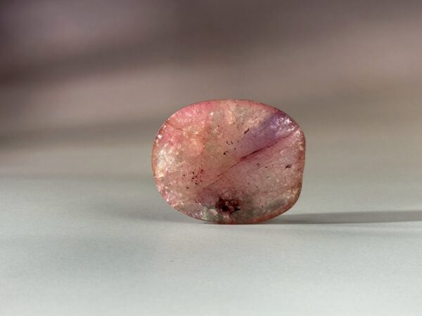 LINE_ALBUM_2026117_260117_103