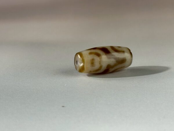 LINE_ALBUM_2026117_260117_118