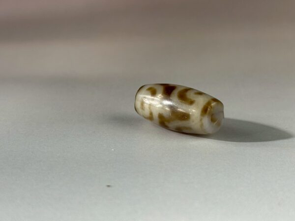 LINE_ALBUM_2026117_260117_119