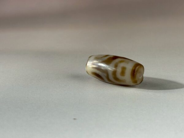 LINE_ALBUM_2026117_260117_120