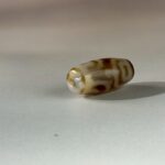 LINE_ALBUM_2026117_260117_121