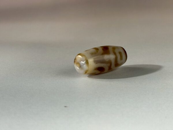 LINE_ALBUM_2026117_260117_121