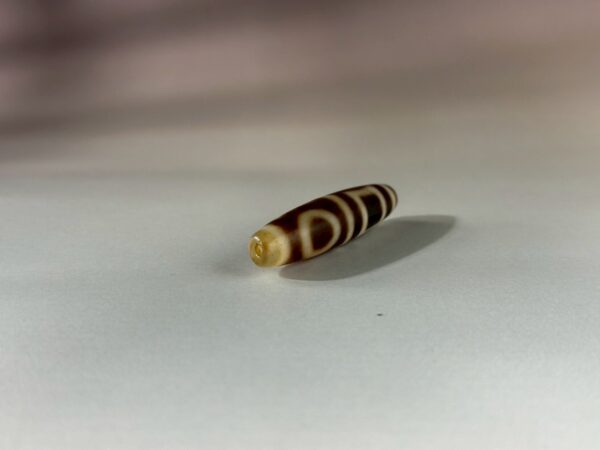 LINE_ALBUM_2026117_260117_131